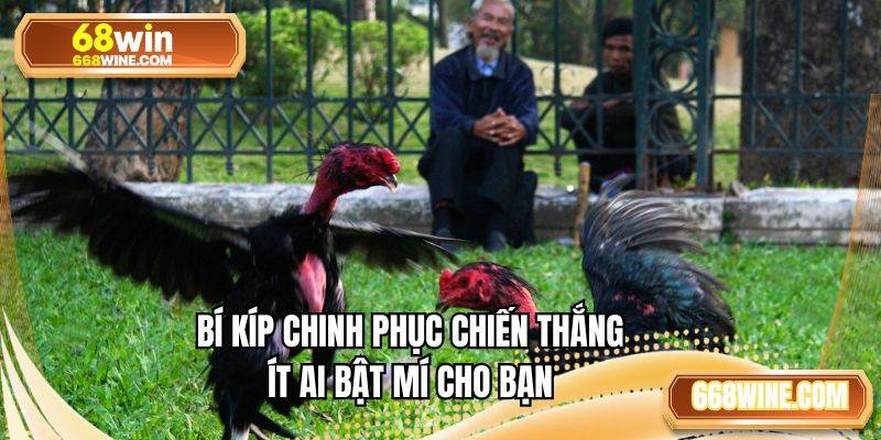 Bí kíp chinh phục chiến thắng ít ai bật mí cho bạn