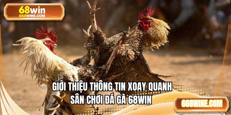 Giới thiệu thông tin xoay quanh sân chơi đá gà 68WIN
