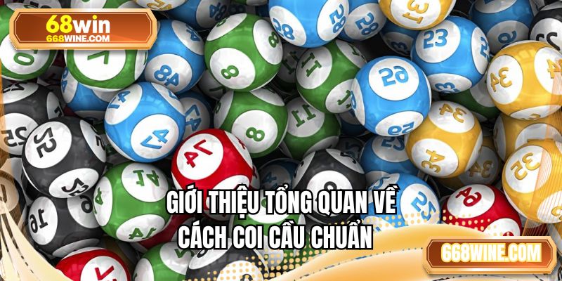 Giới thiệu tổng quan về cách coi cầu chuẩn